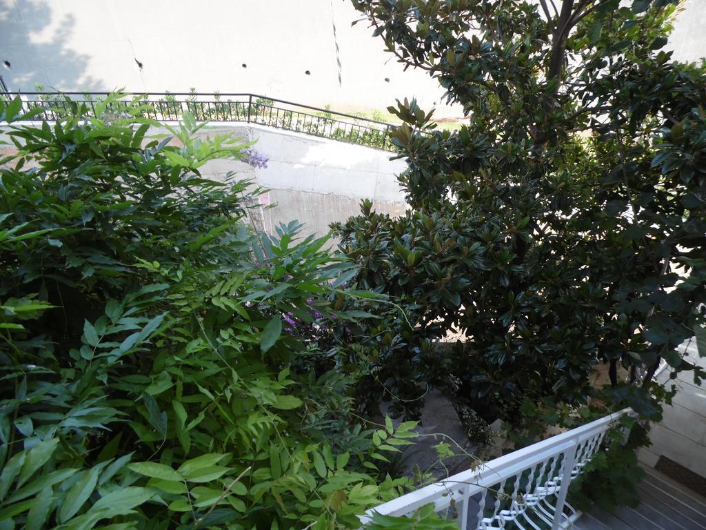 Apartments Slavica Jovanovic Свети Стефан Стая снимка